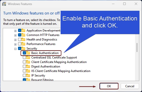 Enable Basic Authentication in Windows 11