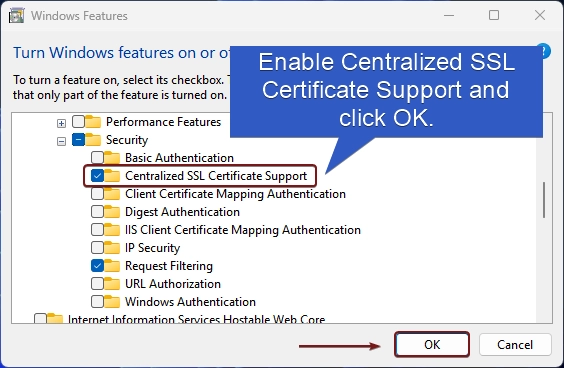 Enable Centralized SSL Certificate Support in Windows 11