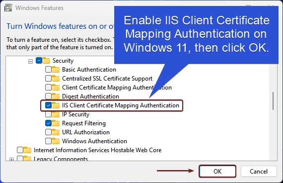 Enable IIS Client Certificate Mapping Authentication on Windows 11