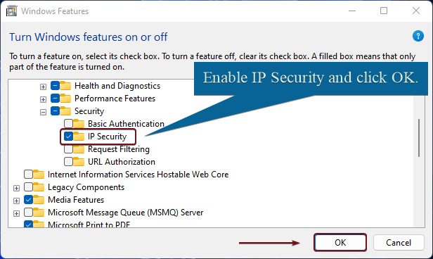 Enable IP Security for IIS on Windows 11