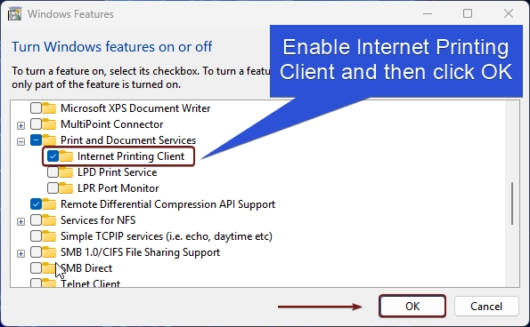 Enable Internet Printing Client