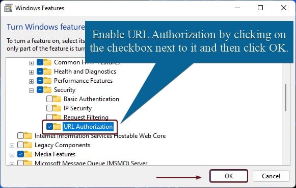 Enable URL Authorization for IIS on Windows 11