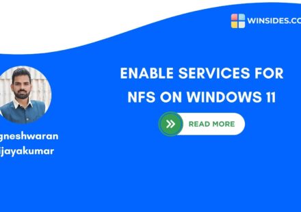 ENABLE SERVICES FOR NFS ON WINDOWS 11