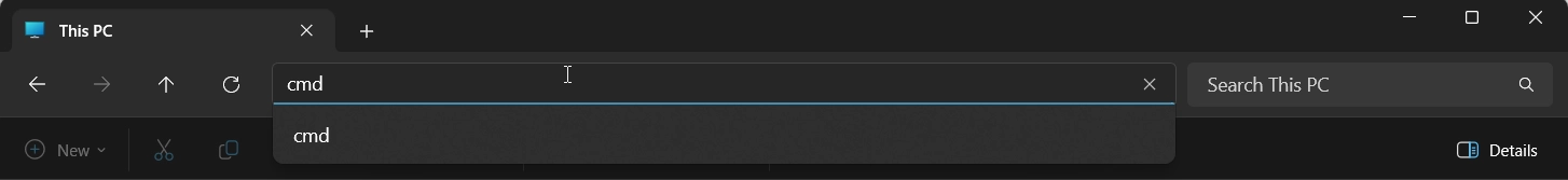 Entering cmd in address bar