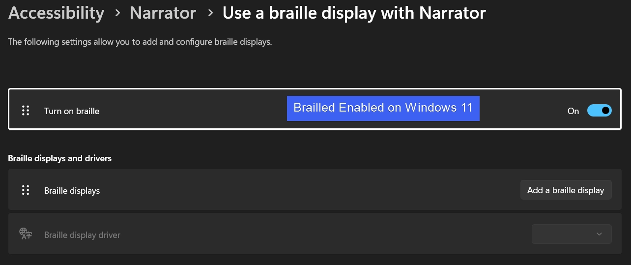 Braille Enabled on Windows 11