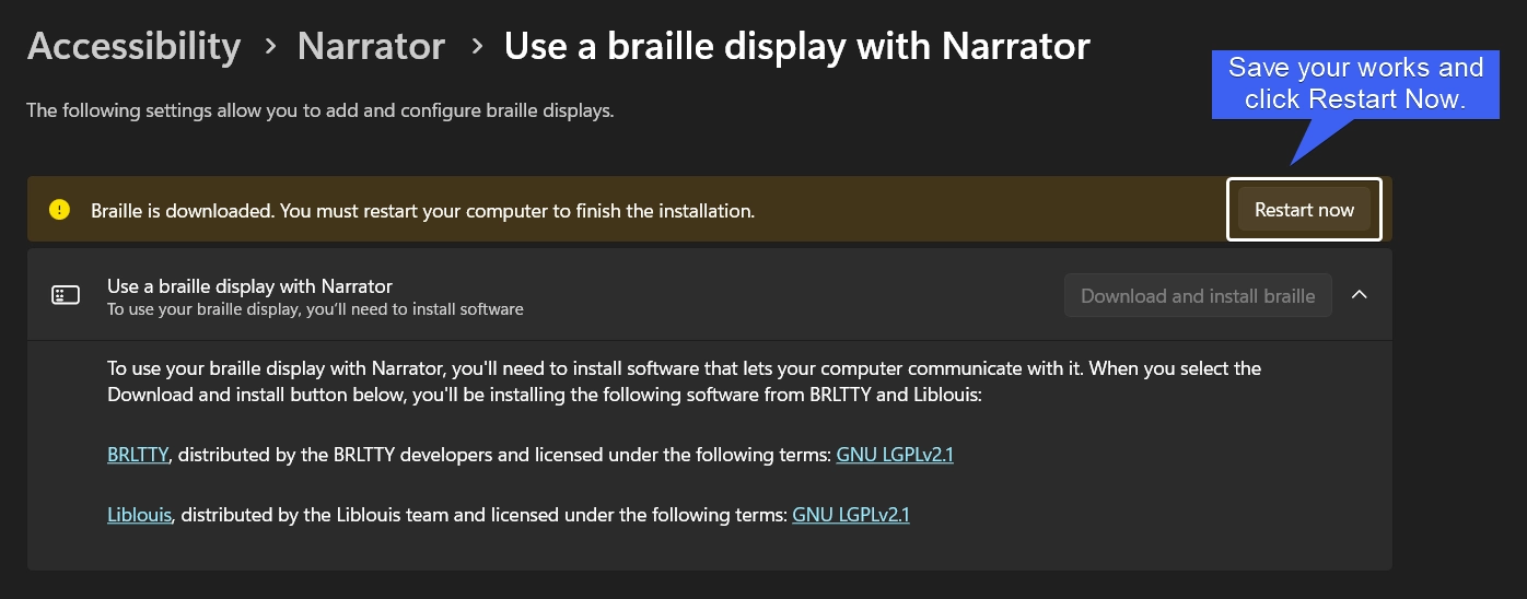 Braille with Display Software Downloaded