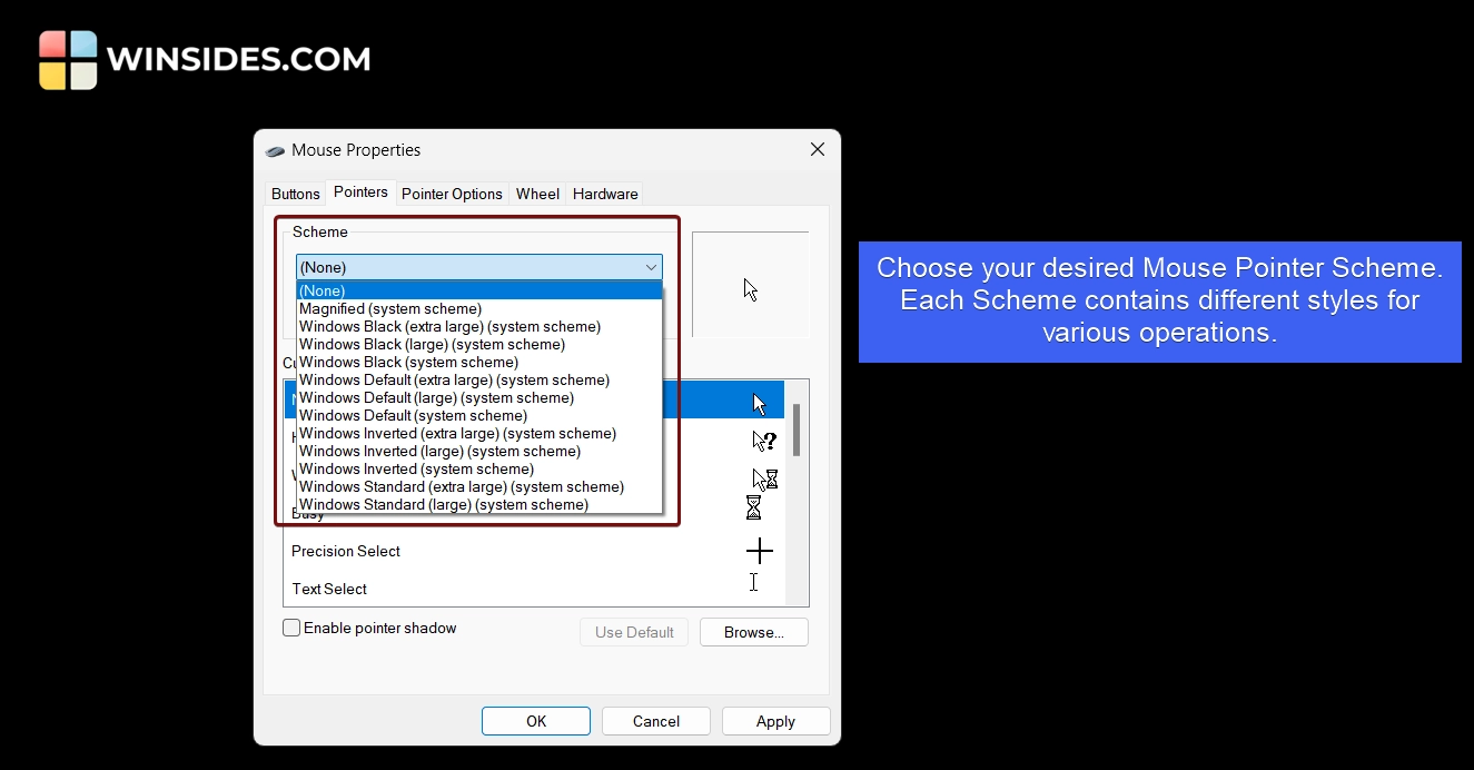 Choose your desired Mouse Pointer Scheme