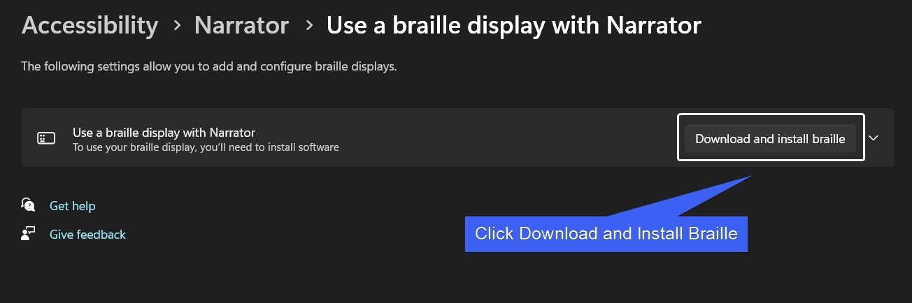 Click Download and Install Braille