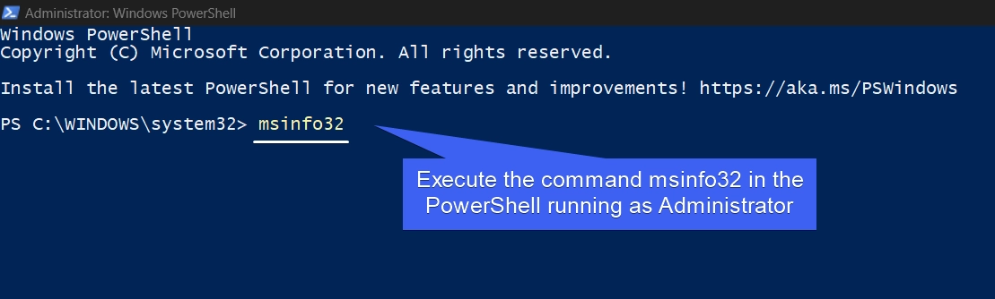 Execute the Command msinfo32 in the PowerShell