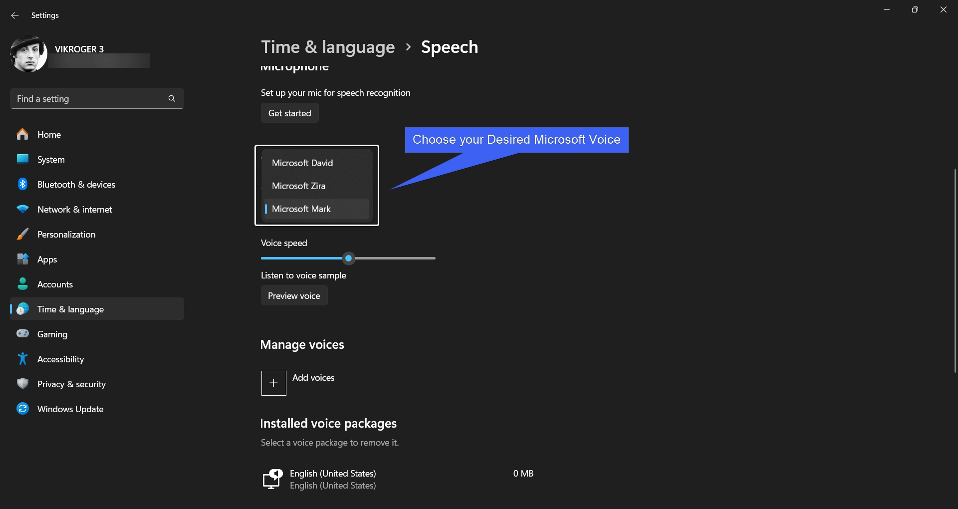 Choose your Desired Microsoft Language