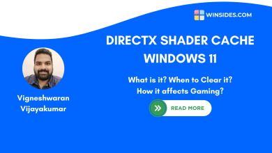 DirectX Shader Cache Windows 11