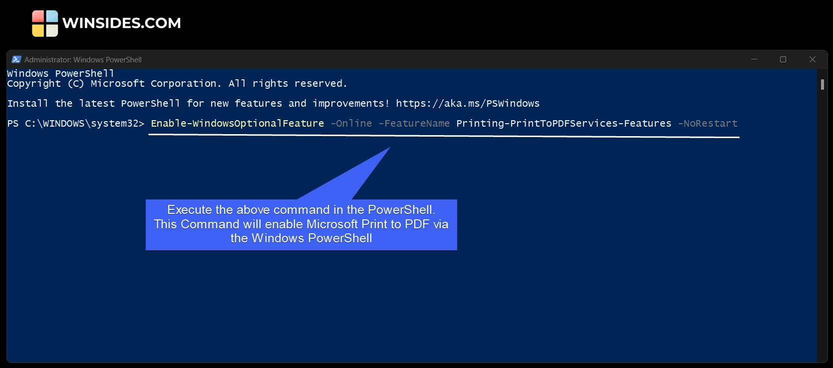 Execute the Print to PDF Enable Command in the PowerShell