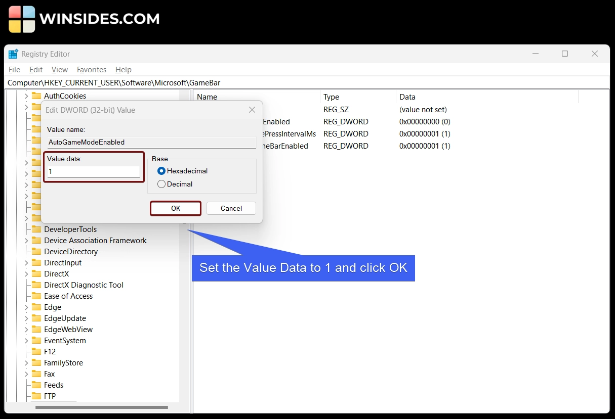 Set the DWORD Value Data to 1