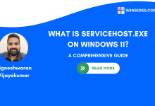 what is servicehost exe on windows 11?