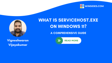 what is servicehost exe on windows 11?