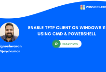 Enable TFTP Client on Windows 11 using CMD and PowerShell