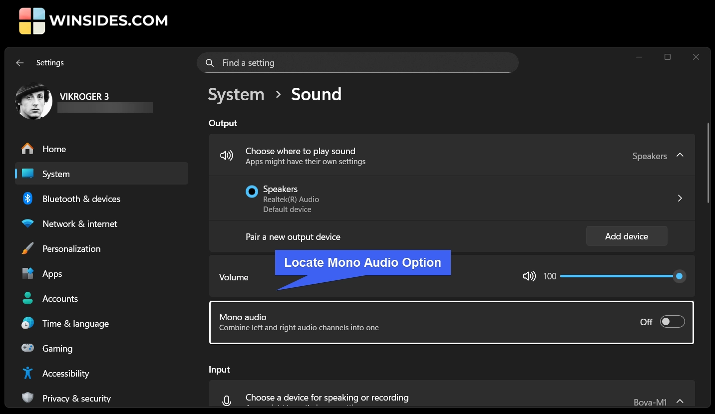 Locate Mono Audio Option