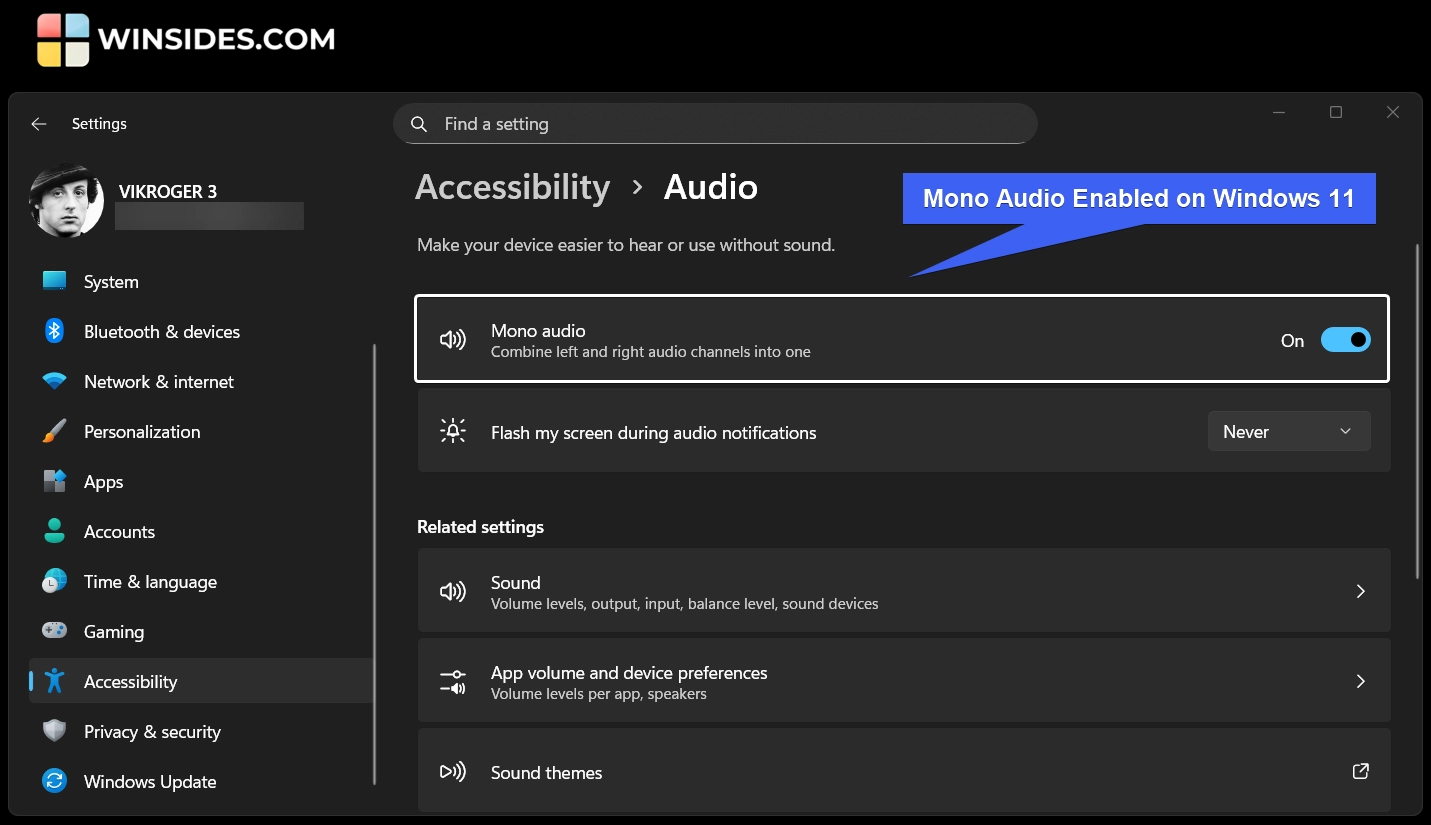 Mono Audio Enabled on Windows 11