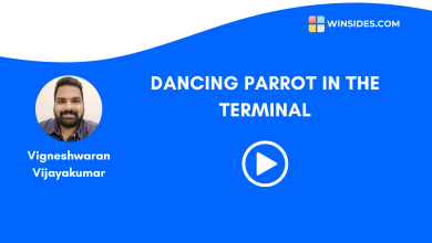 Dancing Parrot in the Terminal - Windows Tweaks