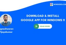 Google App for Windows 11