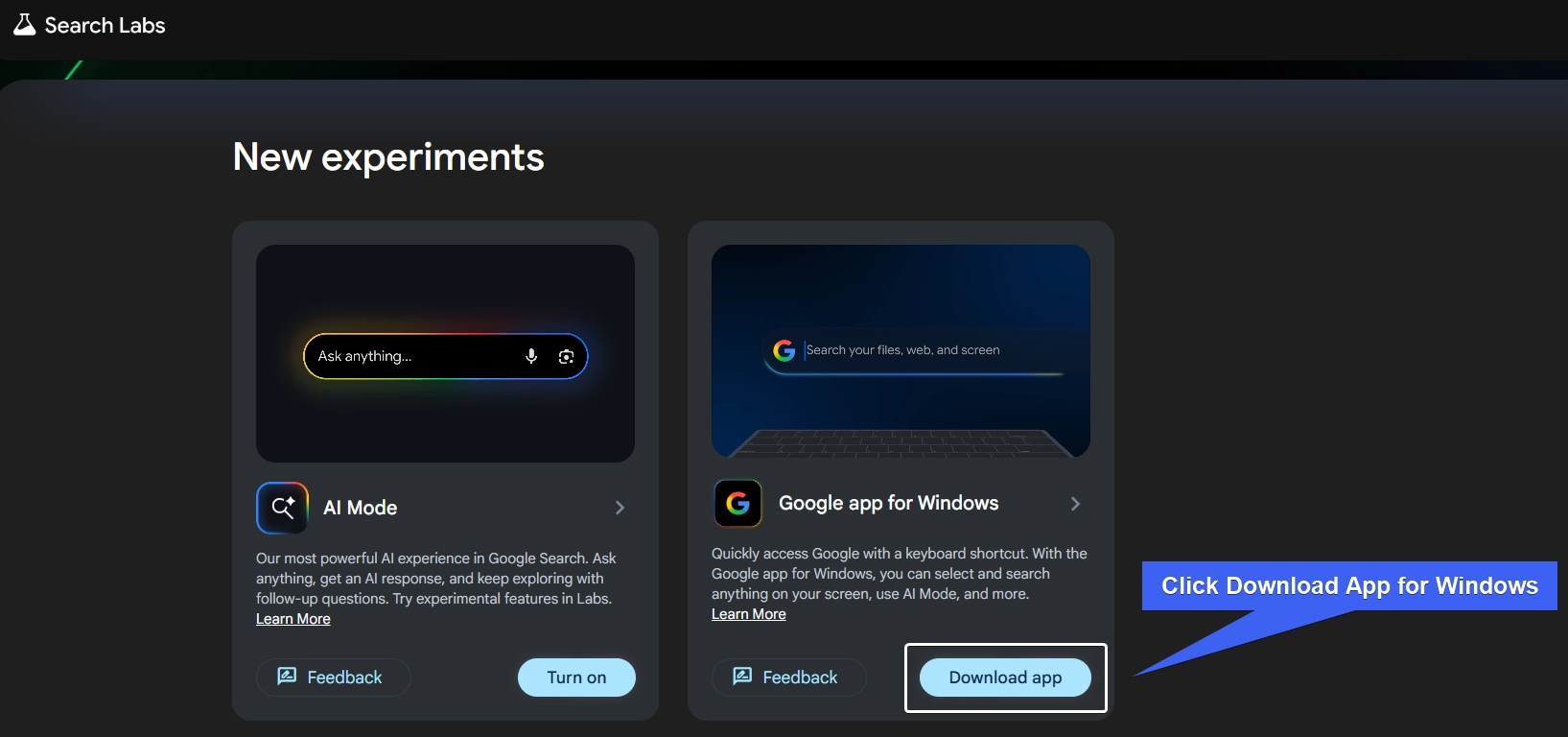 Download Google App for Windows 11