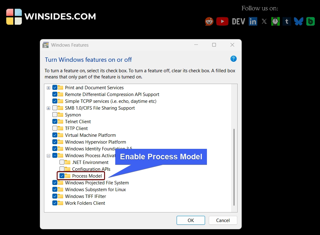How to Enable Process Model for WAS on Windows 11? 2 Enable Process Model