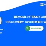 DevQuery Background Discovery Broker on Windows 11