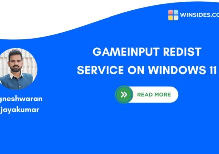 GameInput Redist Service on windows 11