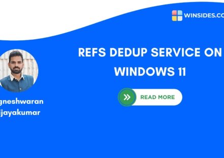 ReFS Dedup Service on windows 11