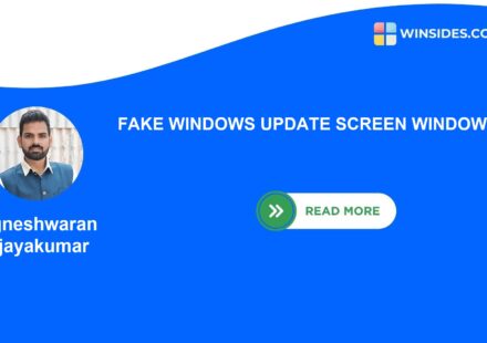 FAKE WINDOWS UPDATE SCREEN WINDOWS 11
