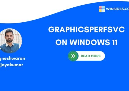 graphicsperfsvc on Windows 11