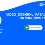 VIDEO_DXGKRNL_FATAL_ERROR on Windows 11