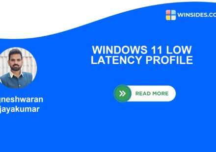 WINDOWS 11 LOW LATENCY PROFILE