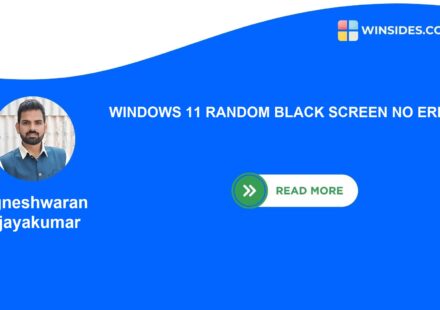 Windows 11 random black screen no error