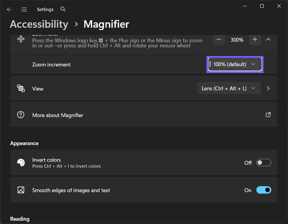 Magnifier Zoom increment set to 100% (default) in Windows 11