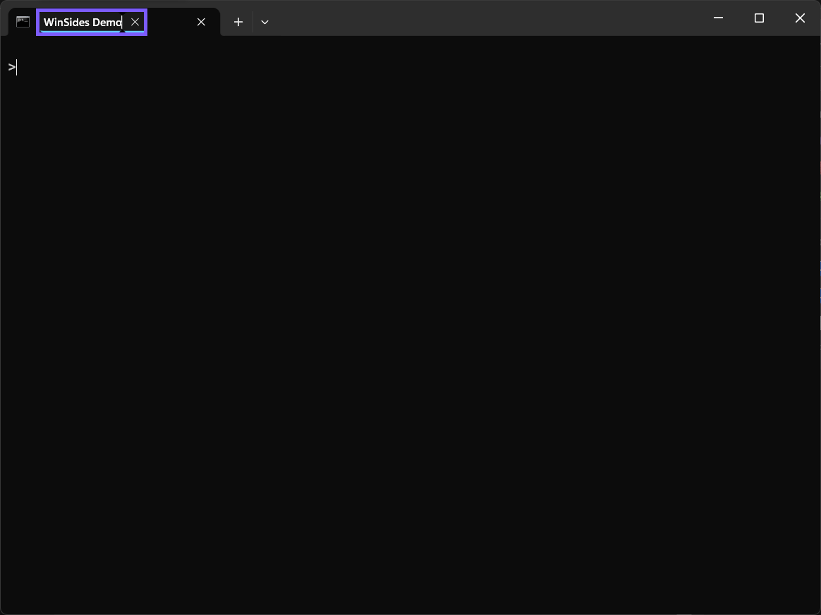 Windows Terminal tab title editor containing WinSides Demo and outlined in purple