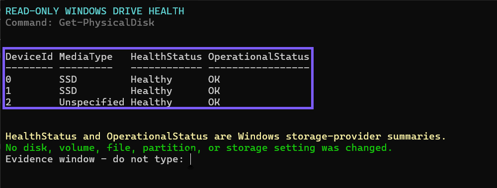 Windows PowerShell showing three physical disks with Healthy and OK status outlined in WinSides purple