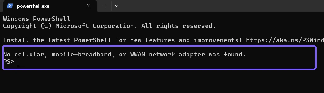 No cellular mobile broadband or WWAN network adapter result outlined in purple