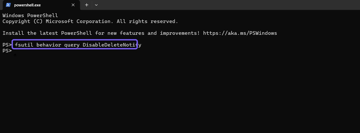 PowerShell showing the fsutil DisableDeleteNotify query before execution