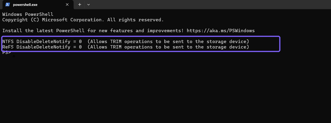 fsutil result showing zero for NTFS and ReFS DisableDeleteNotify