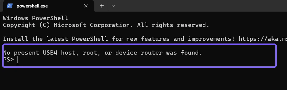 No present USB4 router result outlined in purple