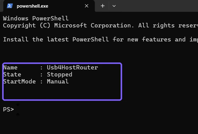 Usb4HostRouter driver stopped manual result outlined in purple