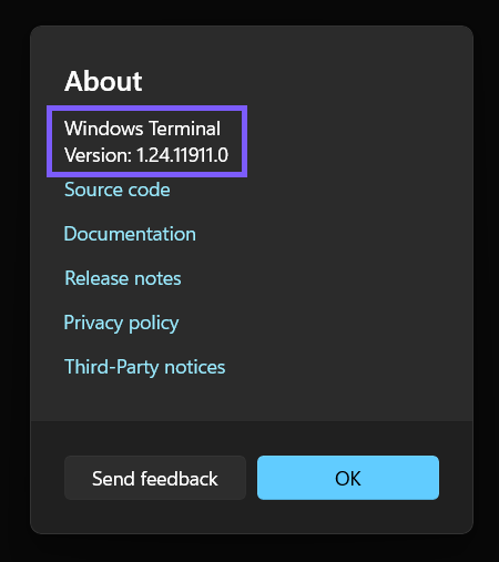 Windows Terminal About dialog showing version 1.24.11911.0 outlined in WinSides purple