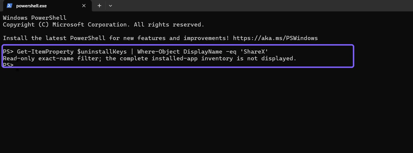 PowerShell showing a read-only exact-name app metadata query