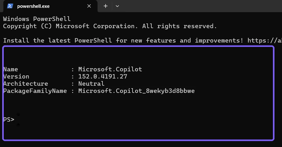 Microsoft Copilot Appx version 152.0.4191.27 result outlined in purple