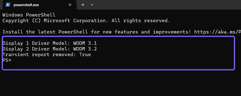 WDDM 3.1 and 3.2 values with transient report removal verification outlined in purple