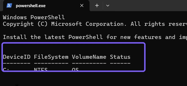 CIM result independently showing drive C uses NTFS outlined in purple