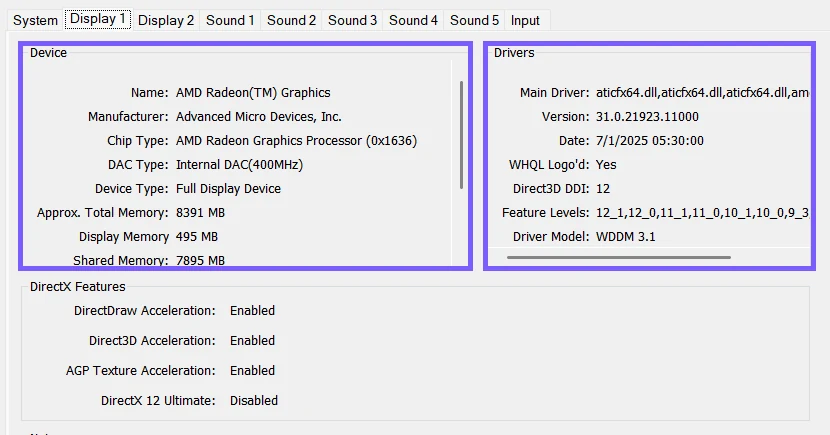 DirectX Diagnostic Tool Display 1 page with AMD graphics device and driver fields outlined in purple