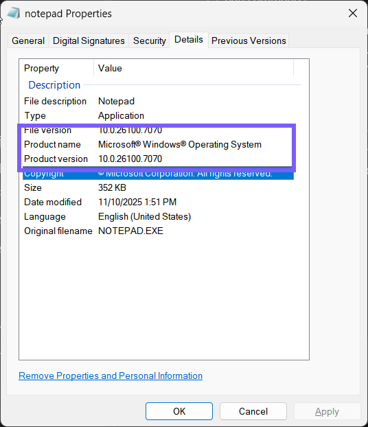 Notepad Properties Details tab showing File version and Product version 10.0.26100.7070 outlined in purple