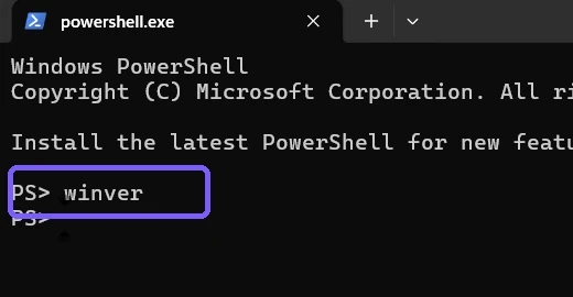 Windows Terminal showing the winver command outlined in purple